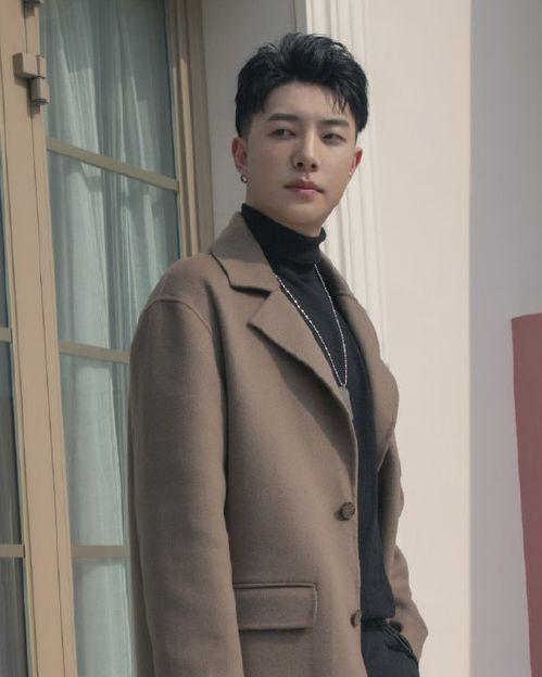 中国男歌手爆料视频播放,独家幕后故事大公开  第3张 中国男歌手爆料视频播放,独家幕后故事大公开  第3张