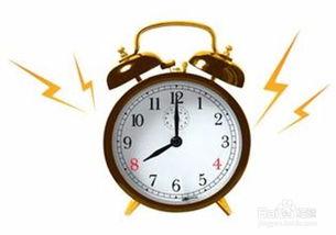 《闹钟》在线观看  第3张 《闹钟》在线观看  第3张