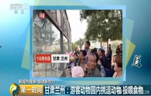 河南爆料泰和园事件视频,业主维权引发社会关注  第3张 河南爆料泰和园事件视频,业主维权引发社会关注  第3张