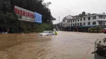 安化东坪爆料案件最新,真相渐明,疑云散去,警方全力追查”  第2张 安化东坪爆料案件最新,真相渐明,疑云散去,警方全力追查”  第2张