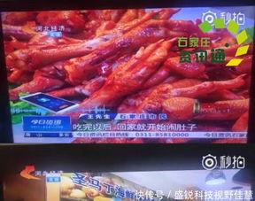 新闻爆料假牛羊肉餐馆,假牛羊肉餐馆横行,食品安全谁来守护?  第2张 新闻爆料假牛羊肉餐馆,假牛羊肉餐馆横行,食品安全谁来守护?  第2张