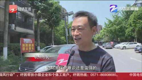 四川红哥爆料最新消息新闻,揭秘四川某重大新闻事件内幕  第3张 四川红哥爆料最新消息新闻,揭秘四川某重大新闻事件内幕  第3张